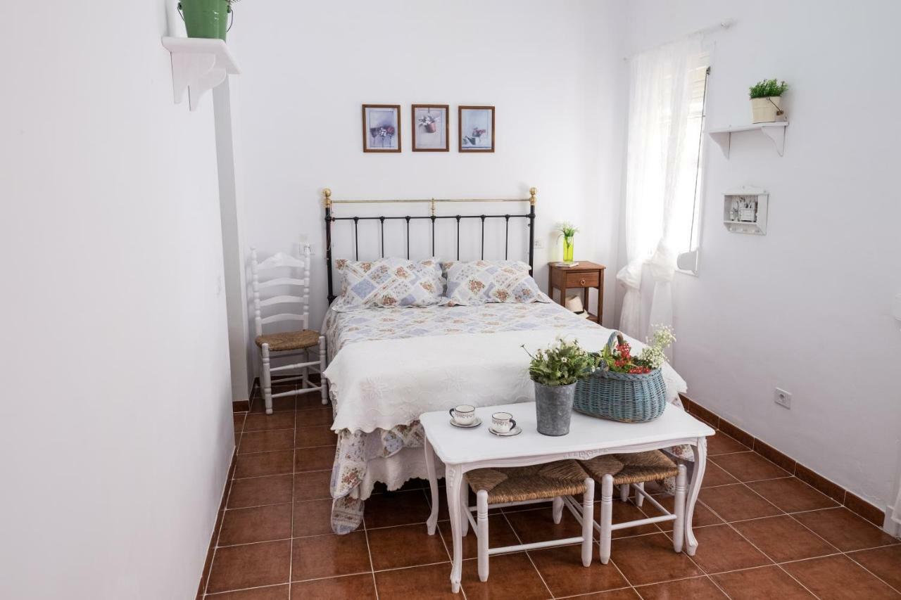 산타크루스데 테네리페 Casa Maria Cristina 3 아파트 외부 사진